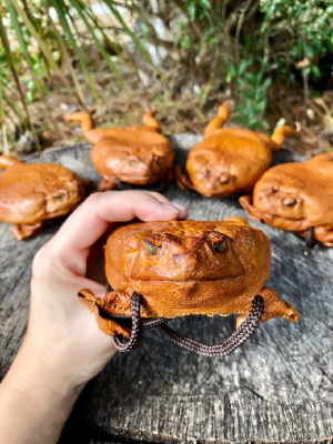 Cane Toad Purse